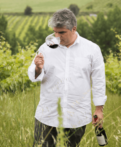 Degustador apreciando vinho tinto na vinha ao ar livre.