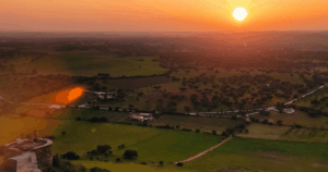 Wine Experiences - Tour Alentejo 1 Wine Experiences | Discovering Portugal by Wine Tourism