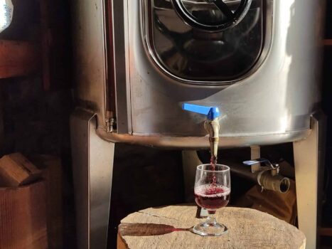 {{brizy_dc_image_alt entityId=